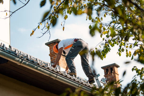 Best Flat Roof Repair Services  in Tawas City, MI
